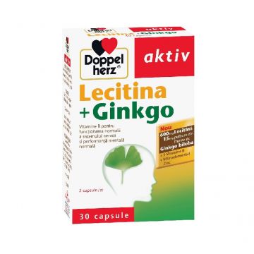 Doppelherz Aktiv Lecitina + Ginkgo 30 Capsule