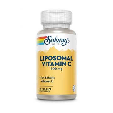Secom Vitamin C Liposomal 500 mg 30 Capsule