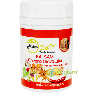 Balsam cu Gheara Diavolului + 6 Plante Medicinale 250ml