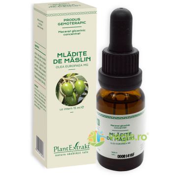 Concentrat Mladite de Maslin 15ml