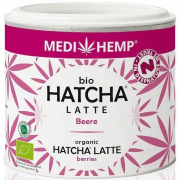 Hatcha latte cu fructe, eco-bio, 45g Medihemp