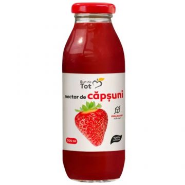 Nectar de Capsuni fara Zahar 300ml Dacia Plant