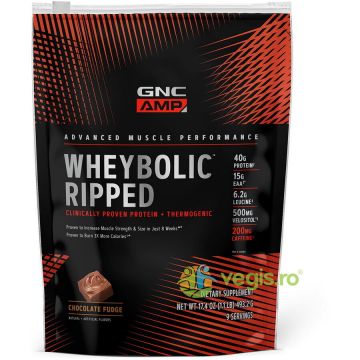 Proteina din Zer cu Aroma de Ciocolata Amp Wheybolic Ripped 493.2g