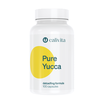 Pure Yucca (100 capsule) Yucca pentru detoxifiere naturala