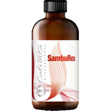 SambuRex (240 ml) Soc negru, Echinacea, Astragalus si vitamina C intareste sistemul imunitar