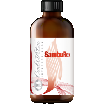 SambuRex (240 ml) Soc negru, Echinacea, Astragalus si vitamina C intareste sistemul imunitar SambuRex (240 ml) Soc negru, Echinacea, Astragalus si vitamina C intareste sistemul imunitar