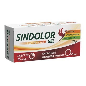 Sindolor gel 170 g Fiterman Pharma
