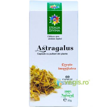 Astragalus 60cps