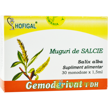 Muguri de Salcie 30monodz