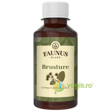 Tinctura de Brusture 200ml