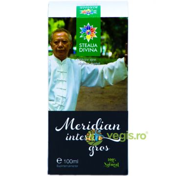 Tinctura Meridian Intestin Gros 100ml