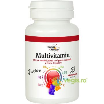 Multivitamin Junior Ursuleti cu Fructe 20 jeleuri