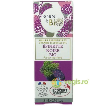 Ulei Esential de Molid Negru Ecologic/Bio 5ml