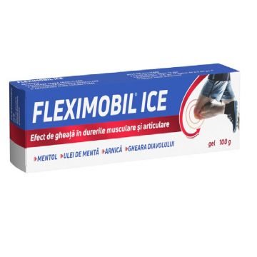 Fleximobil ICE gel 100 g Fiterman