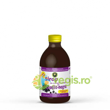 Sirop de Coacaz Negru cu Indulcitor de Stevie 250ml