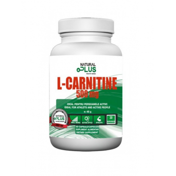 L carnitina 500mg 100cps - NATURAL PLUS