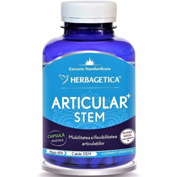 Articular stem 120cps - HERBAGETICA