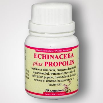 Echinaceea propolis 20cp - ELIDOR