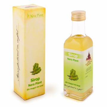 Sirop muguri brad 100ml - NERA PLANT