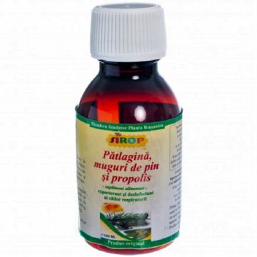 Sirop patlagina pin propolis 100ml - ELIDOR