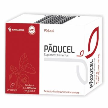 Paducel 100mg 40cp - AESCULAP