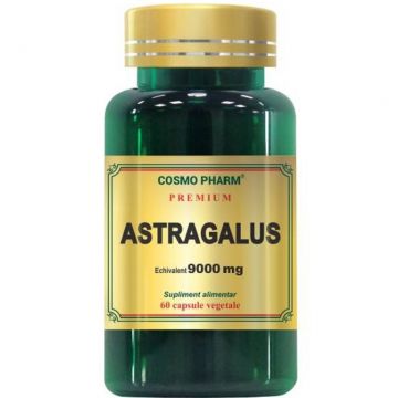 Astragalus 60cps - COSMO PHARM