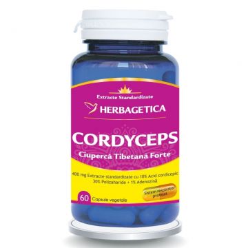 Cordyceps forte 60cps - HERBAGETICA