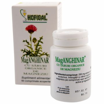 MagAnghinar saruri organice magneziu 60cp - HOFIGAL