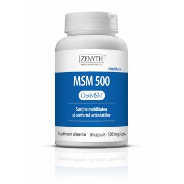 MSM 500mg 60cps - ZENYTH