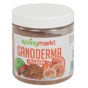 Pulbere ganoderma 50g - SPRINGMARKT