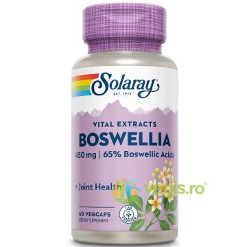 Boswellia (Tamaie) 450mg 30cps vegetale Secom,