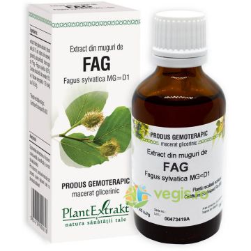 Extract din Muguri de Fag 50ml