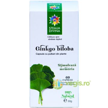 Ginkgo Biloba 60cps