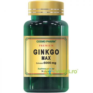 Ginkgo Max 120mg 30cps