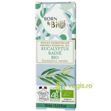 Ulei Esential de Eucalipt Radiata Ecologic/Bio 10ml