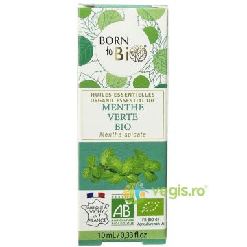 Ulei Esential de Menta Verde Ecologic/Bio 10ml