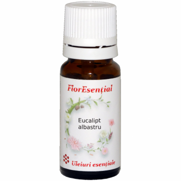 Ulei esential eucalipt 10ml - AQUA NANO