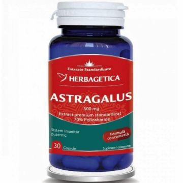 Astragalus 500mg 30cps - HERBAGETICA