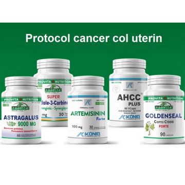 Protocol Cancer col uterin 17b - PROVITA