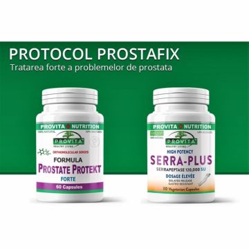 Protocol Prostafix [pt terapia problemelor de prostata] 2b - PROVITA