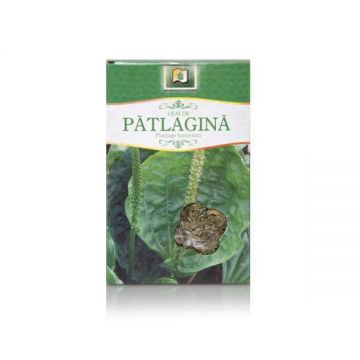 Ceai de Patlagina, 50 g, Stef Mar Valcea