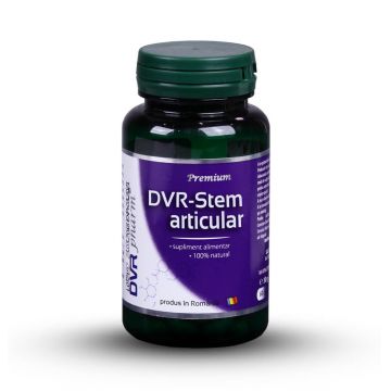 DVR-Stem Articular, 60 capsule, Dvr Pharm