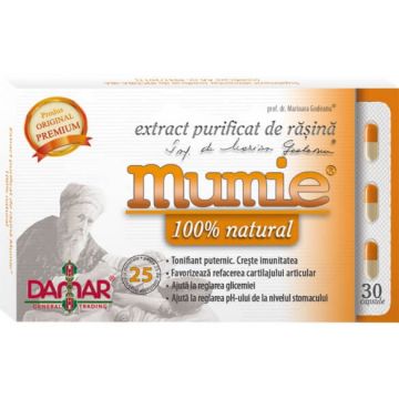 Extract purificat de rasina Mumie, 30 capsule, Damar General Trading