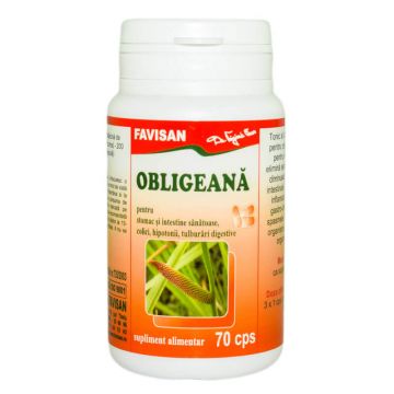 Obligeană, 70 capsule, Favisan