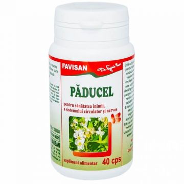 Păducel, 40 capsule, Favisan