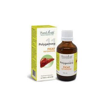 Polygemma 11 Ficat detoxifiere, 50 ml, Plant Extrakt