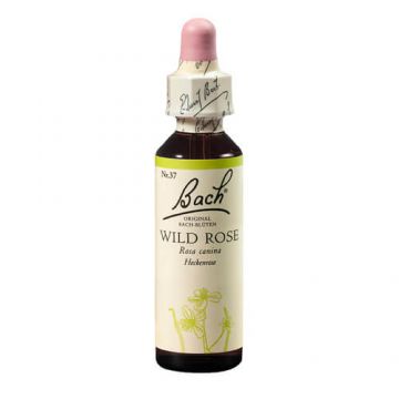 Remediu floral picaturi maces Wild Rose Original Bach, 20 ml, Rescue Remedy