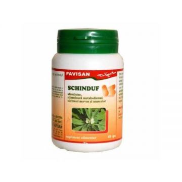 Schinduf, 40 capsule, Favisan