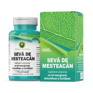 Sevă de mesteacăn, 60 capsule, Hypericum