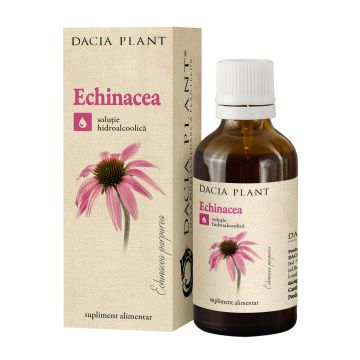 Tinctură de Echinacea, 50ml, Dacia Plant